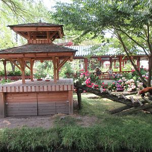 The Middle Kingdom - Red Panda Exhibit