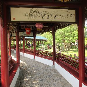 The Middle Kingdom (Asian Zone)