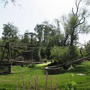 The Middle Kingdom - Southern Yellow-cheeked Gibbon Exhibit