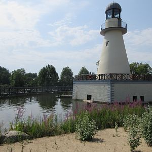 Lighthouse (with seals and penguins for company)