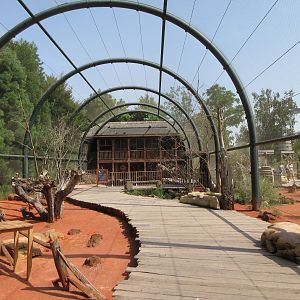 Australian Walk-through Aviary