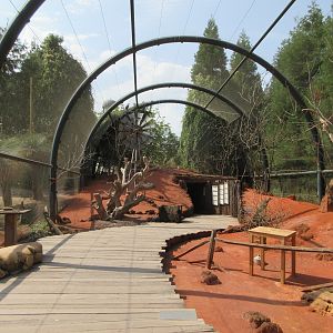 Australian Walk-through Aviary