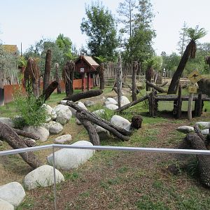 Tasmanian Devil Exhibit