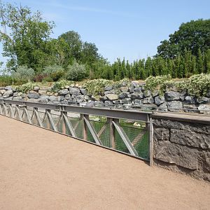 Common Hippo Exhibit - overhead viewing area