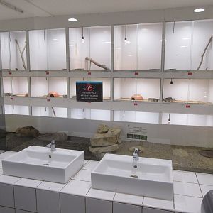 Washroom - on Reptile House Ship