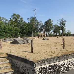 The Kingdom of Ganesha - Asian Elephant Exhibit #1
