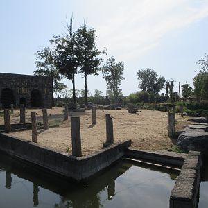 The Kingdom of Ganesha - Asian Elephant Exhibit #2