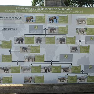 The Kingdom of Ganesha - Asian Elephant Sign