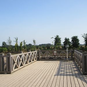 The Kingdom of Ganesha - Asian Elephant Overlook