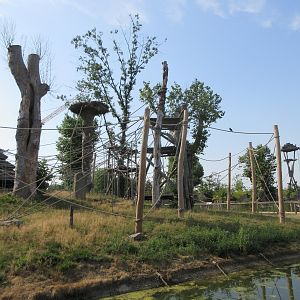 The Kingdom of Ganesha - Sumatran Orangutan Exhibit