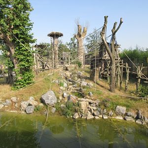 The Kingdom of Ganesha - Sumatran Orangutan Exhibit