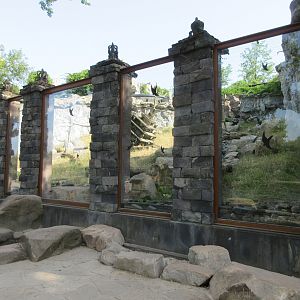 The Kingdom of Ganesha - Sulawesi Crested Macaque Exhibit