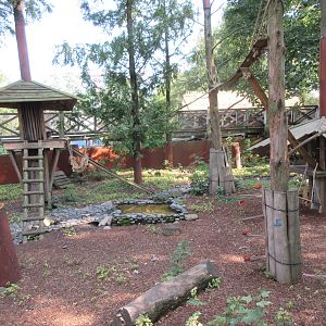 The Land of the Cold - Raccoon Exhibit