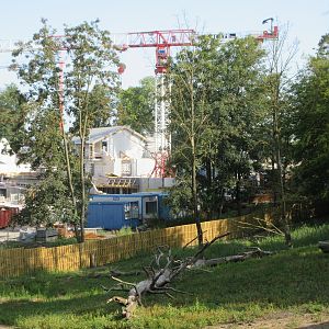 The Land of the Cold - Polar Bears and Antarctic Penguins (in 2020)