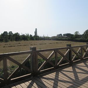 The Land of the Cold - American Bison Exhibit
