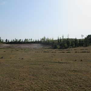 The Land of the Cold - American Bison Exhibit