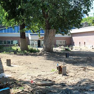 Carnivore House Renovation - July 2019