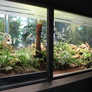 Tuatara Enclosure - July 2019