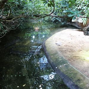 Gharial Enclosure - July 2019