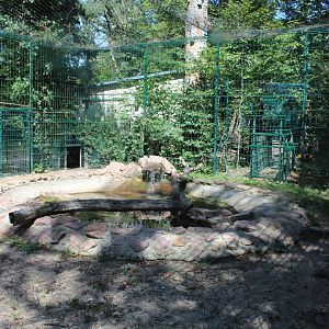 Jaguar Enclosure - July 2019