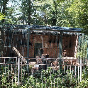 Jaguar Enclosure - July 2019