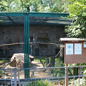 Geoffroy's Cat Enclosure - July 2019