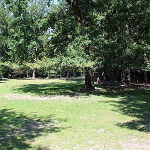 Reindeer Enclosure - July 2019