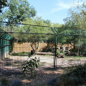 Dingo Enclosure - July 2019