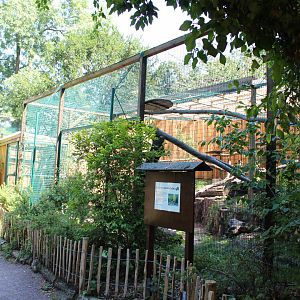 Yellow-throated Marten Enclosures - July 2019