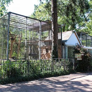 Pig-tailed Macaque Enclosure - July 2019