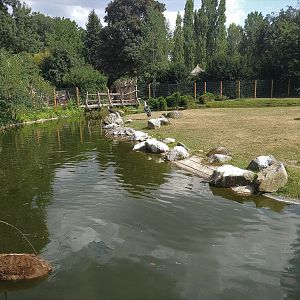 Sitatunga and Marabou Paddock