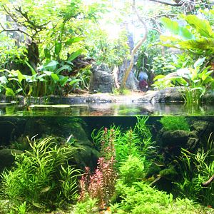 Rivers of the World - River Gems exhibit