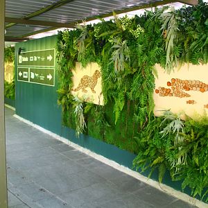 Fancy construction hoarding