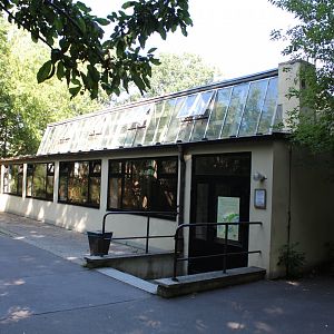 Sun Bear House - July 2019