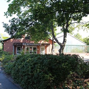 Crocodile House - July 2019