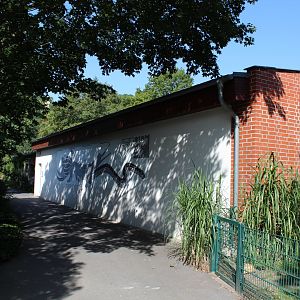 Reptile House - July 2019