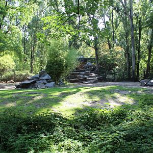 Golden Takin Enclosure - July 2019