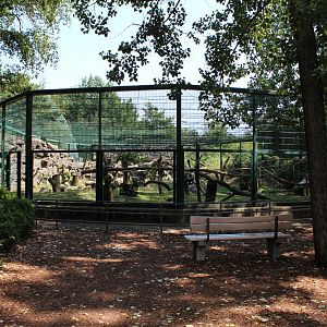 Cherry-crowned Mangabey Enclosure - July 2019