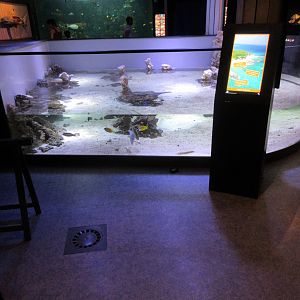 Old Touch Tank (now with water lowered)