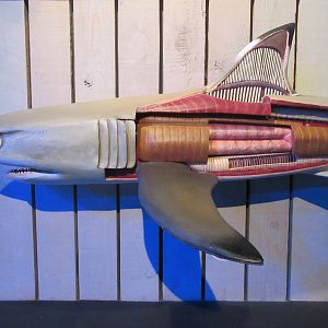 The inside of a shark!