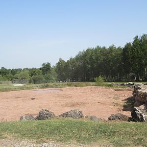 African Safari - White Rhino/Warthog Exhibit