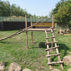 Asiatic Black Bear Exhibit