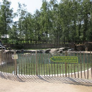 Humboldt Penguin Exhibit
