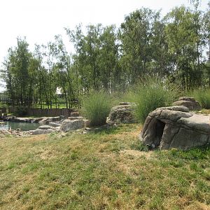 Humboldt Penguin Exhibit