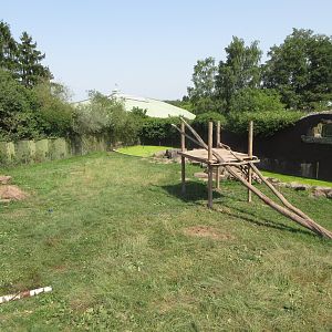 Asiatic Black Bear Exhibit