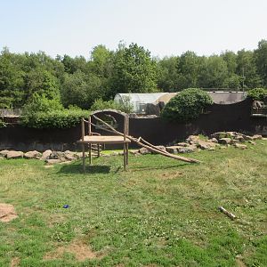 Asiatic Black Bear Exhibit