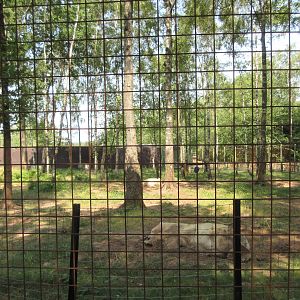Polar Bear Exhibit - Forest Zone