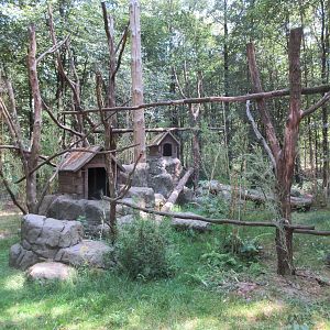 Red Panda Exhibit