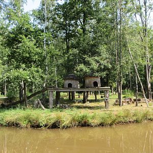 Red Ruffed/Black and White Ruffed Lemur Exhibit