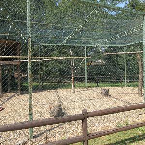 Steppe Eagle Aviary